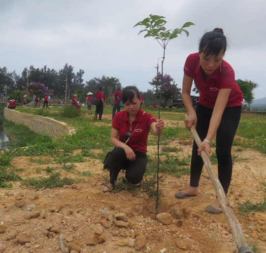  Đoàn viên Báo Bắc Ninh tham gia trồng cây xanh tại huyện đảo Cô Tô.
